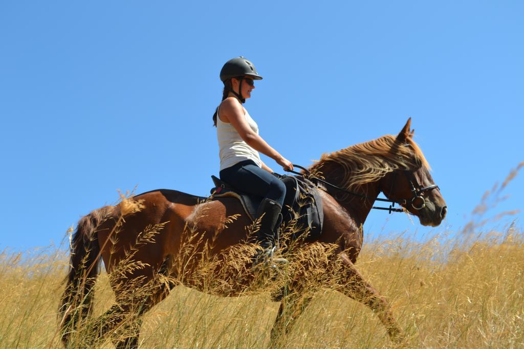 Country Hotel Velani Avdou Dış mekan fotoğraf