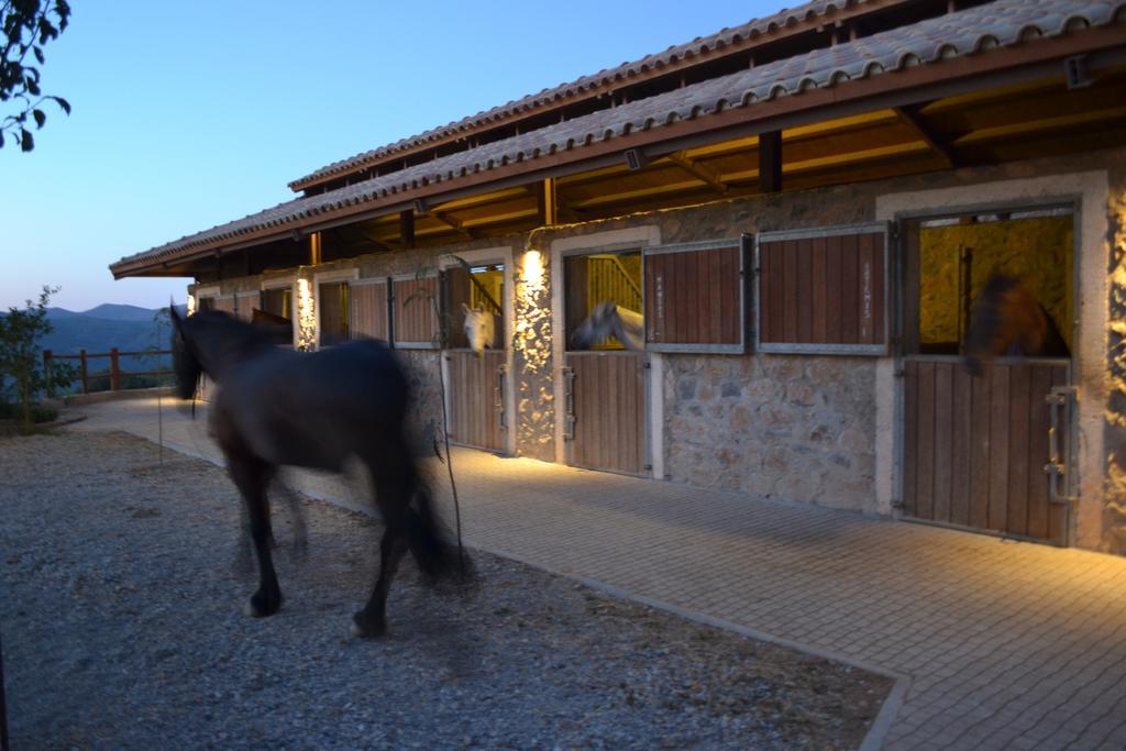 Country Hotel Velani Avdou Dış mekan fotoğraf