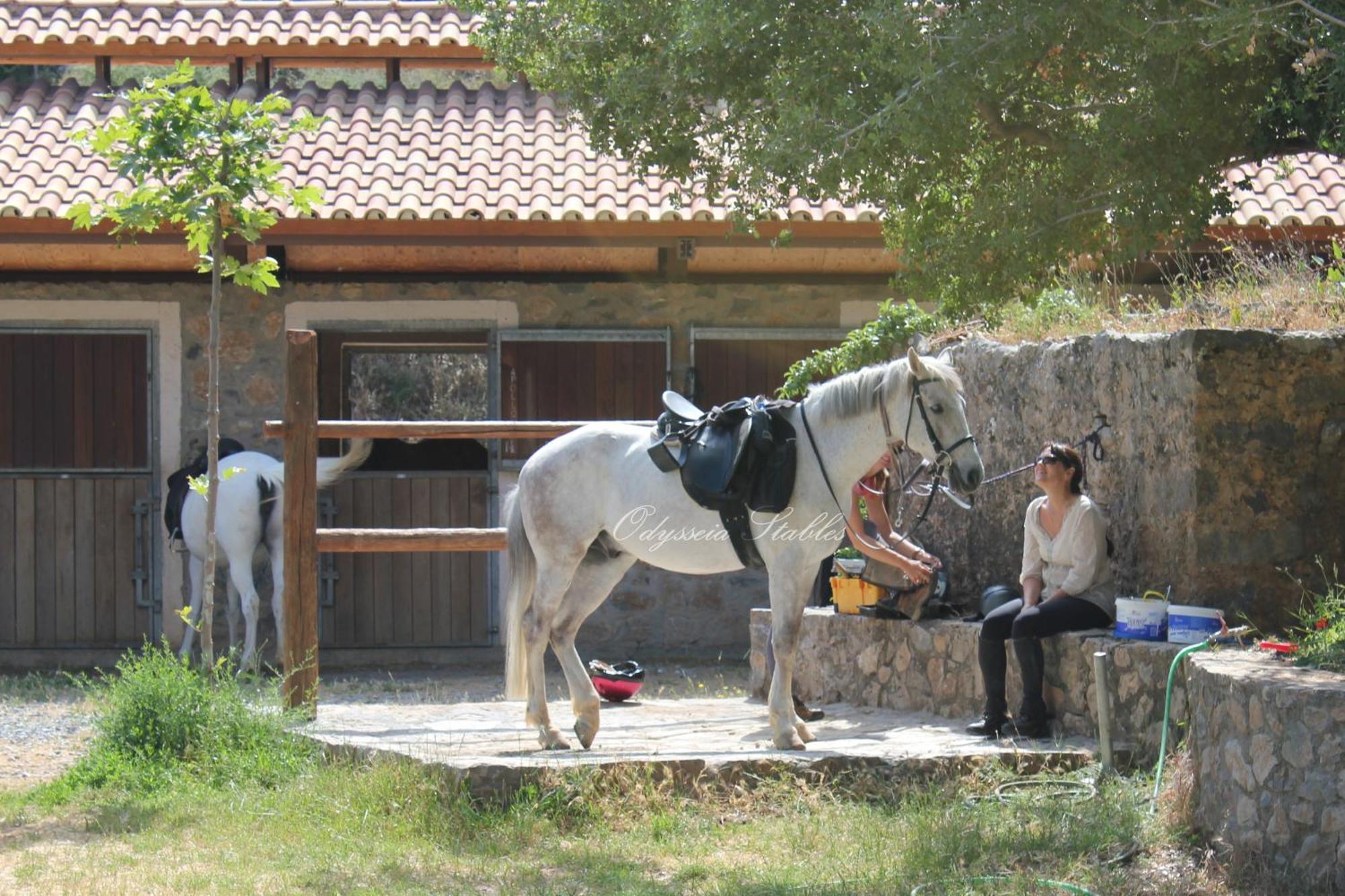 Country Hotel Velani Avdou Dış mekan fotoğraf