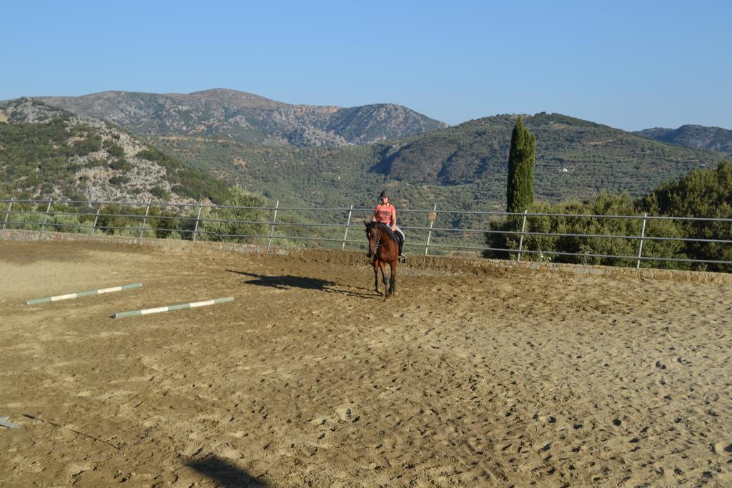 Country Hotel Velani Avdou Dış mekan fotoğraf